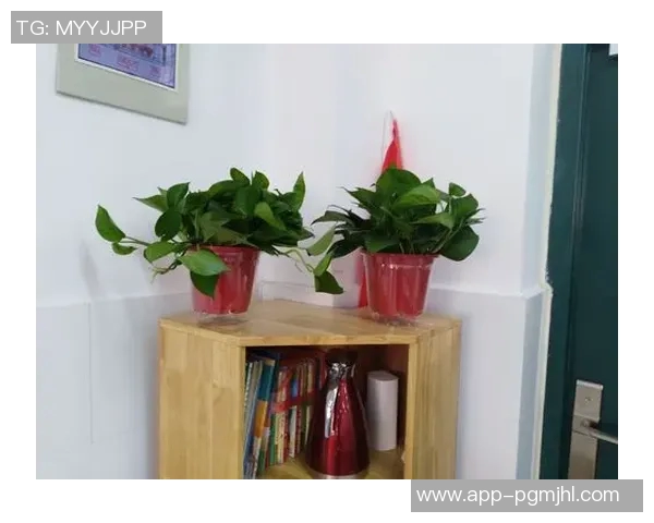 2026电竞新闻与周丽畅谈DOTA2职业生涯的点滴与挑战